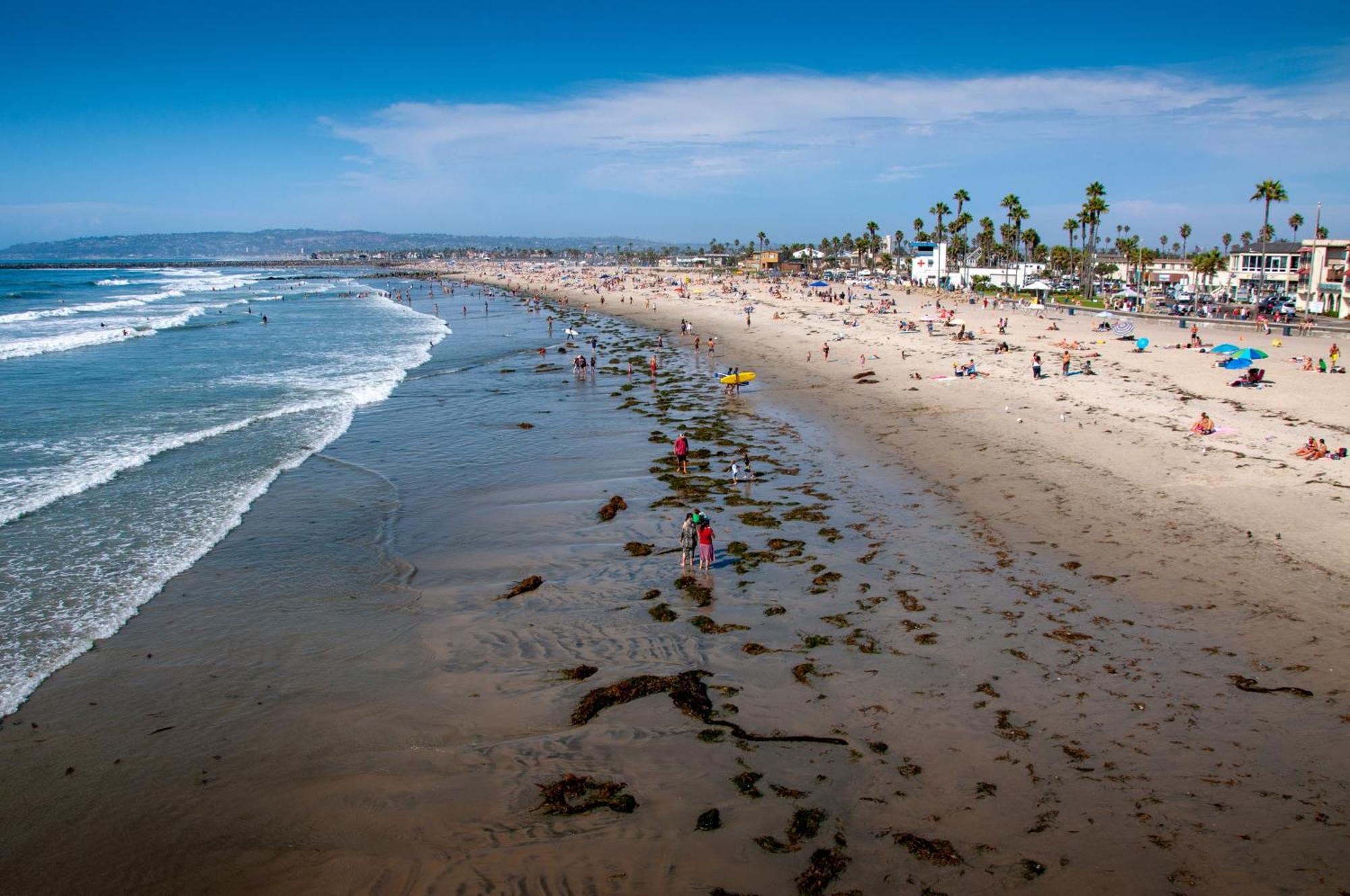 Modern Ocean Beach Apartment San Diego Zewnętrze zdjęcie